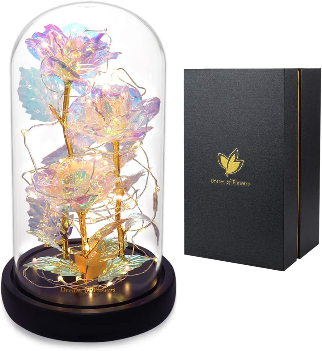 Valentines Gifts for Her,Birthday Gifts for Women,Colorful Flowers Rose in Glass Dome,Galaxy Flowers Rose with 2 Lighted Mode,Rainbow Rose Flower Gifts for Women,Valentines Gifts for Girlfriend