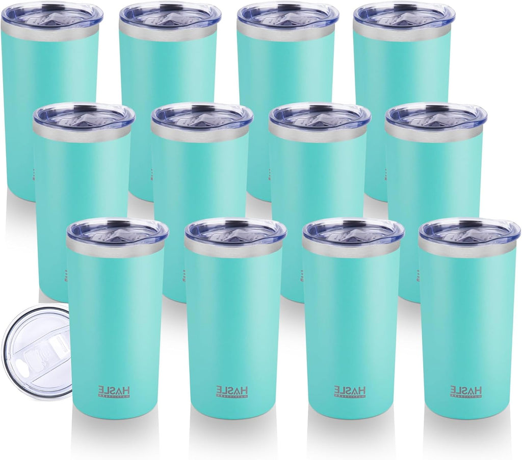 HASLE OUTFITTERS 20 Oz Skinny Tumblers Bulk Set, Stainless Steel Insulated Slim Tumblers with Lids Travel Water Cups(Stainless Steel, 8)