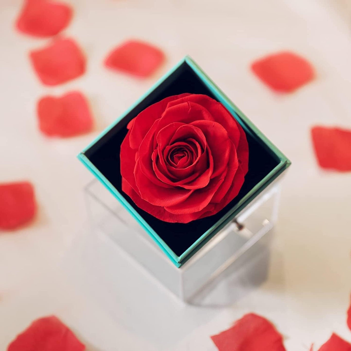 U UQUI Valentines Day Gifts for Her, Preserved Real Rose with I Love You Heart Necklace 100 Languages, Birthday Gifts for Women Mom Girlfriend Wife,Forever Flower for Anniversary, Red Roses