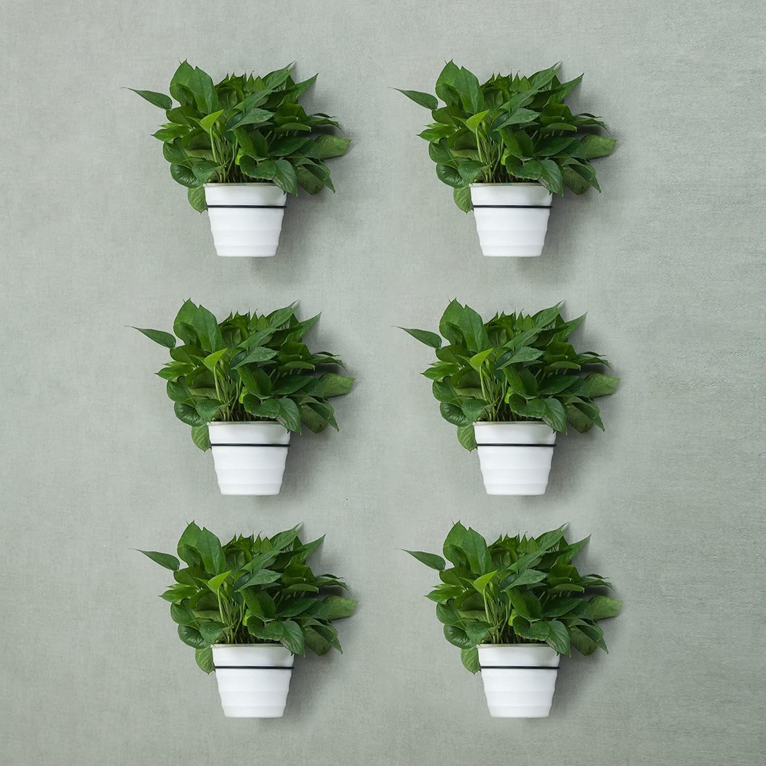 6 Inch Flower Plant Holder Ring Wall Mounted Metal Plant Pot Hanger, Set of 6 Pot Ring Plant Wall Hanger, Planter Bracket, Iron Black