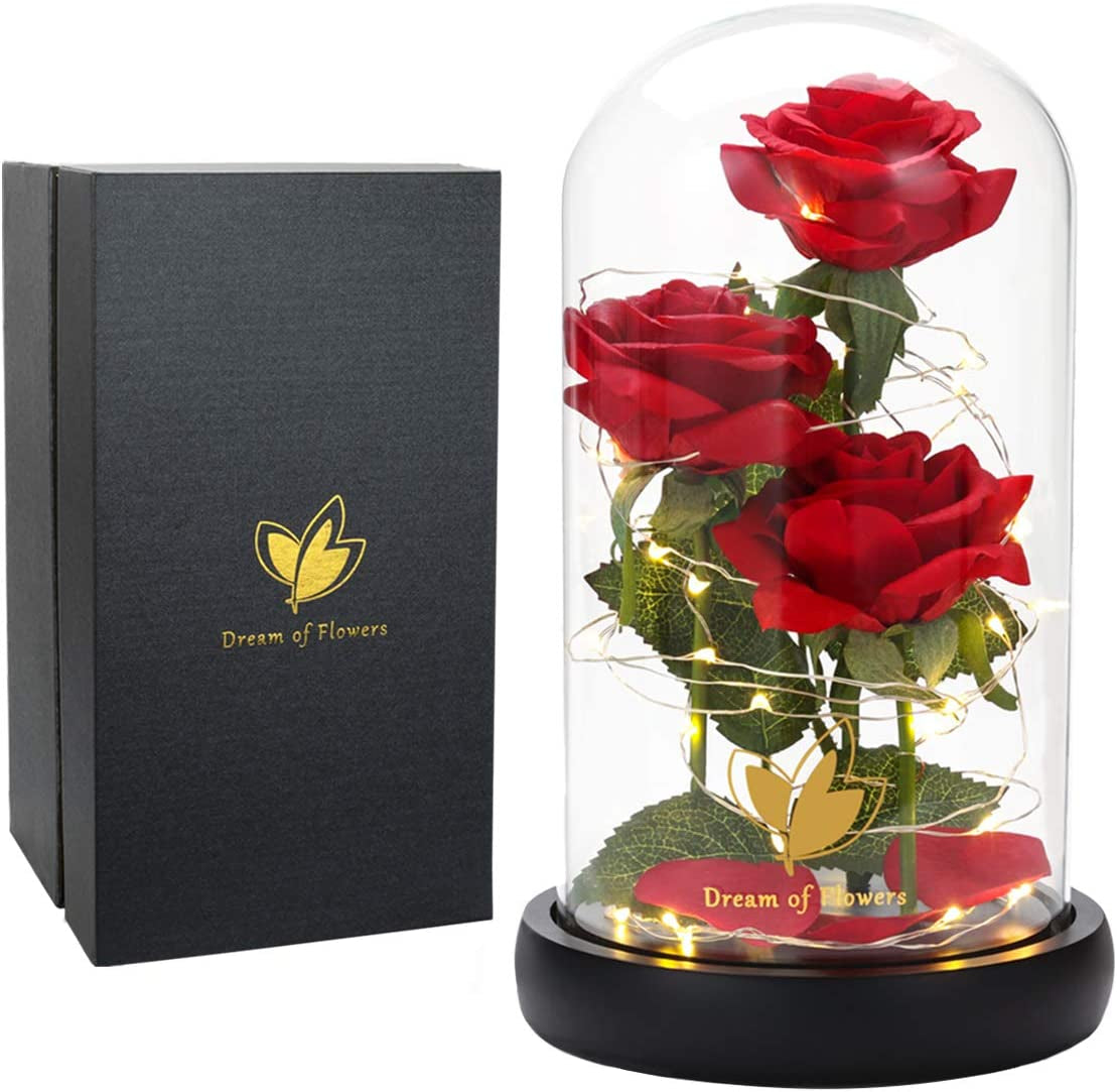 Valentines Gifts for Her,Birthday Gifts for Women,Colorful Flowers Rose in Glass Dome,Galaxy Flowers Rose with 2 Lighted Mode,Rainbow Rose Flower Gifts for Women,Valentines Gifts for Girlfriend