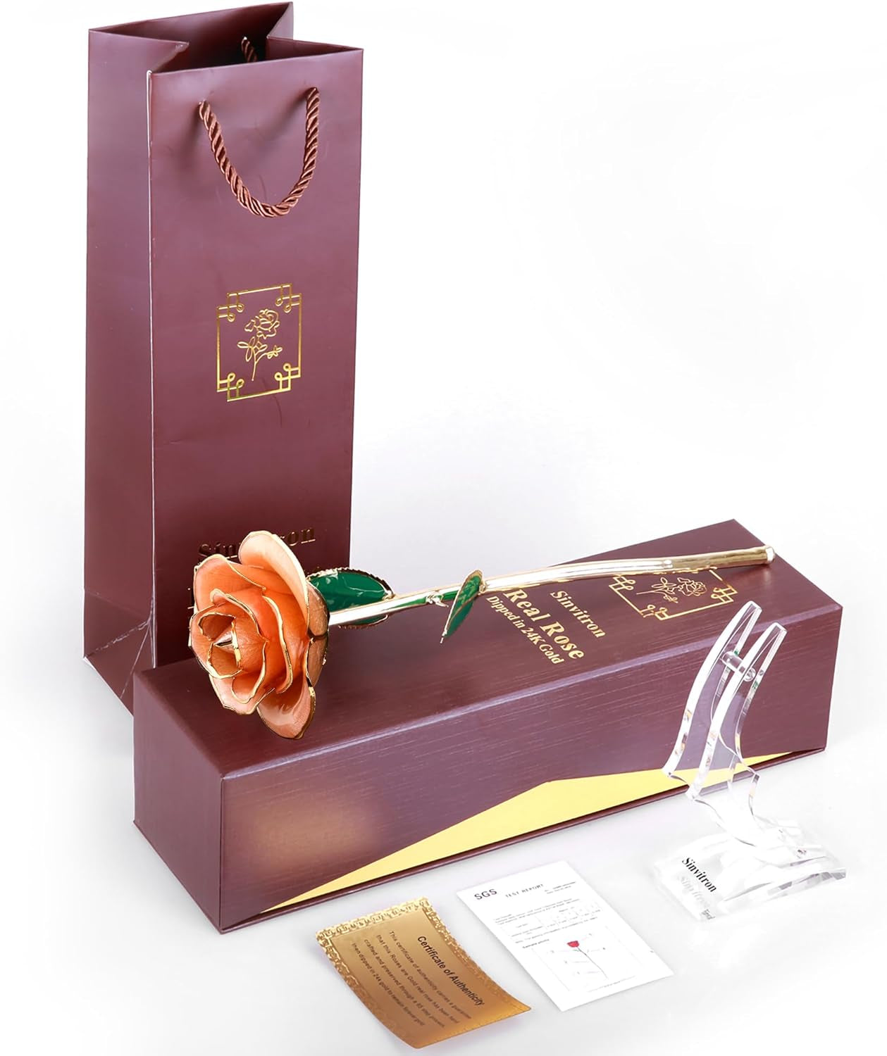 Sinvitron Gold Dipped Infinity Rose Forever Flower Decor, Resin Preserved Real Rose Birthday Gift for Women, Anniversary Present for Mom (Pink)