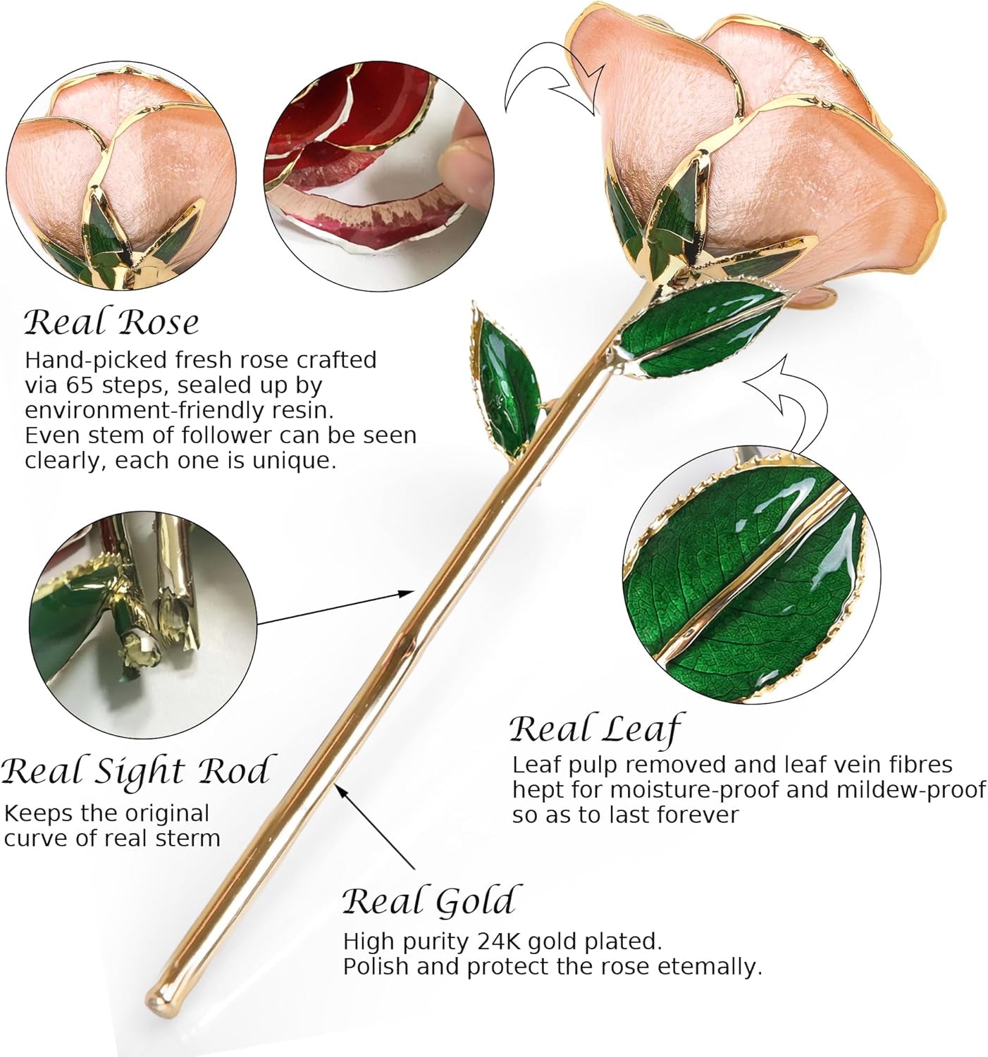 Sinvitron Gold Dipped Infinity Rose Forever Flower Decor, Resin Preserved Real Rose Birthday Gift for Women, Anniversary Present for Mom (Pink)