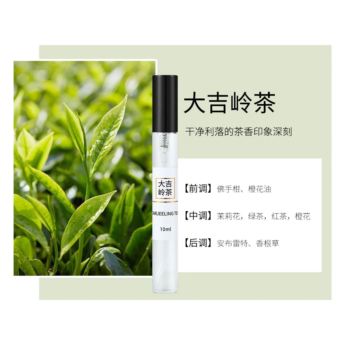 10ML Popular Female Perfume Has A Long-lasting Fragrance Fresh Light Unique Casual Date Gift Aromatic Scent for Men Women