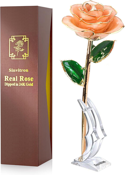 Sinvitron Gold Dipped Infinity Rose Forever Flower Decor, Resin Preserved Real Rose Birthday Gift for Women, Anniversary Present for Mom (Pink)
