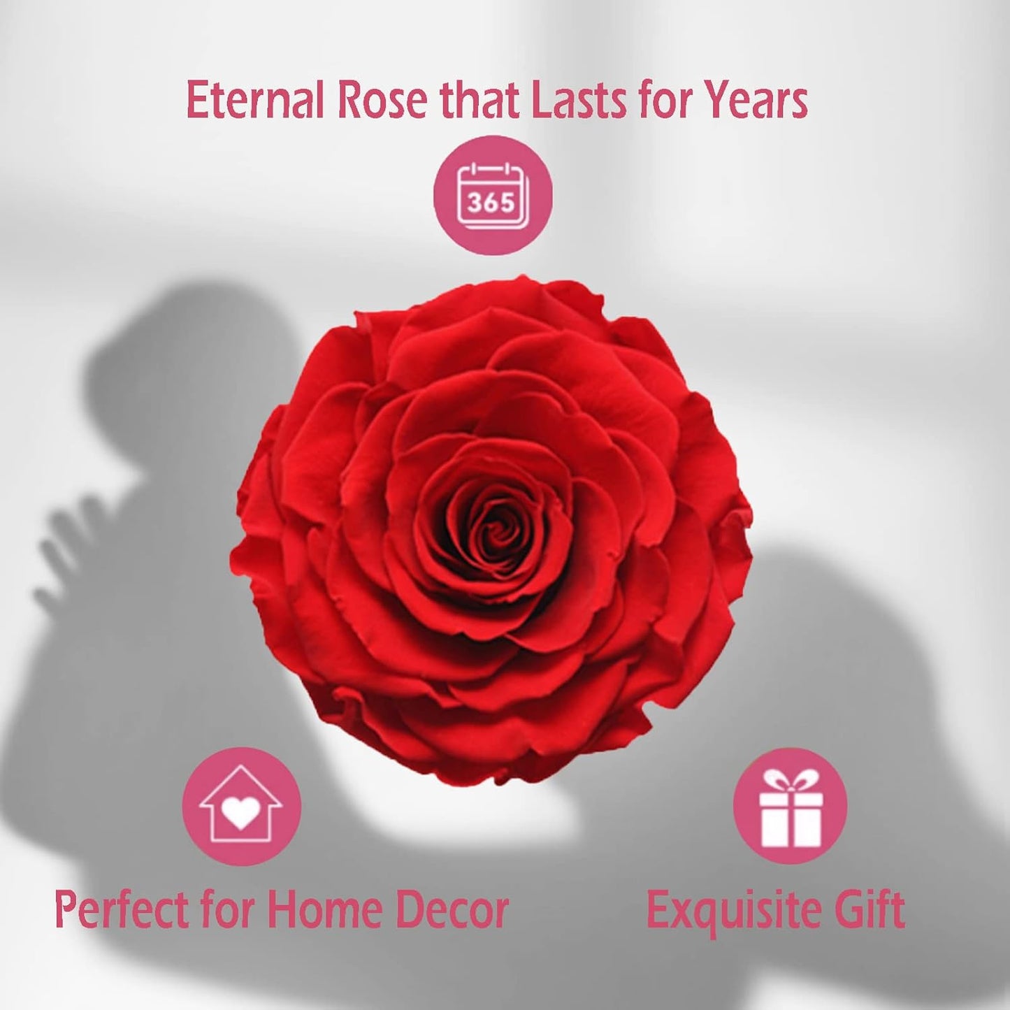 U UQUI Valentines Day Gifts for Her, Preserved Real Rose with I Love You Heart Necklace 100 Languages, Birthday Gifts for Women Mom Girlfriend Wife,Forever Flower for Anniversary, Red Roses