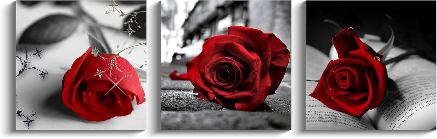 NAN Wind Canvas Print 3 Pcs Black and White Red Rose Canvas Art Painting Abstract Wall Art Decorations Flower Picture on Canvas for Home Decor Stretched and Framed (16X16Inchx3Pcs, A-Rose)
