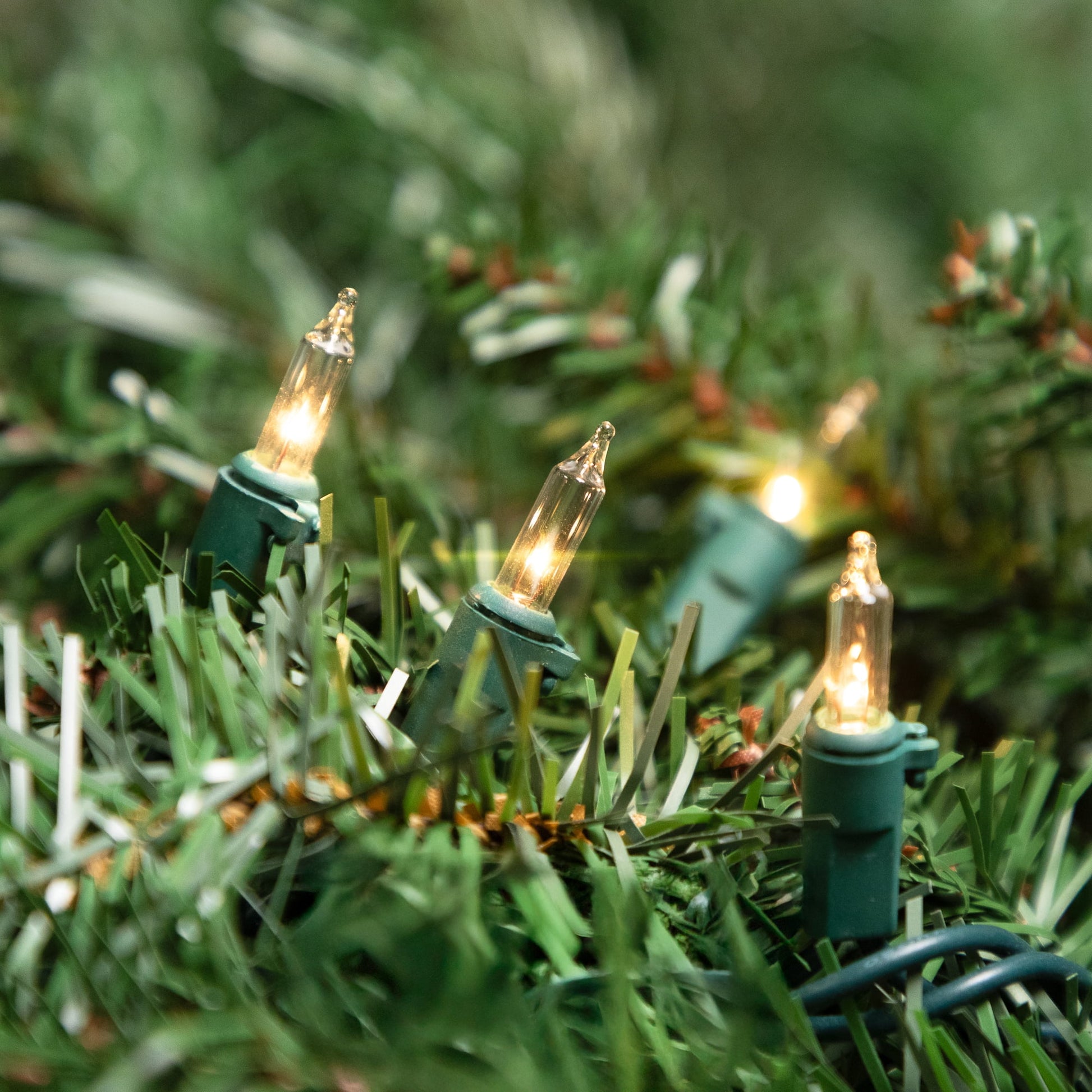 Incandescent Mini Christmas Lights - Clear - 10' Green Wire - 50Ct