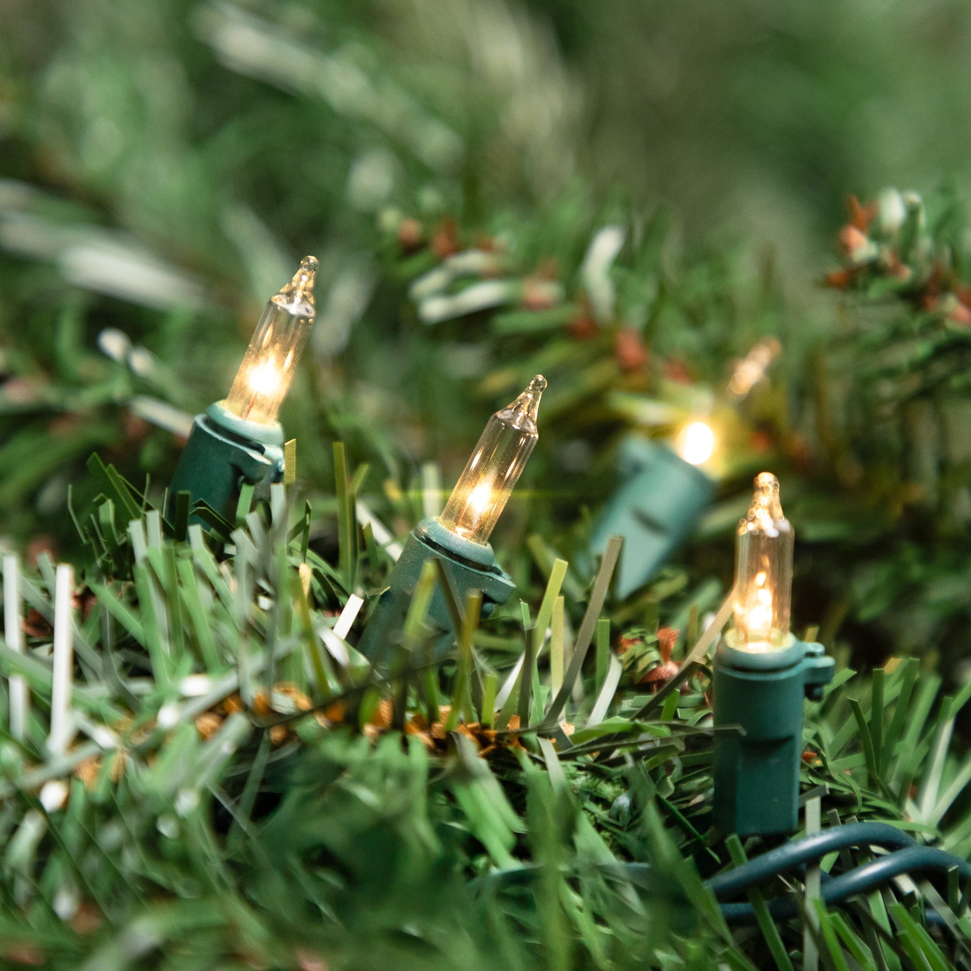 Incandescent Mini Christmas Lights - Clear - 10' Green Wire - 50Ct