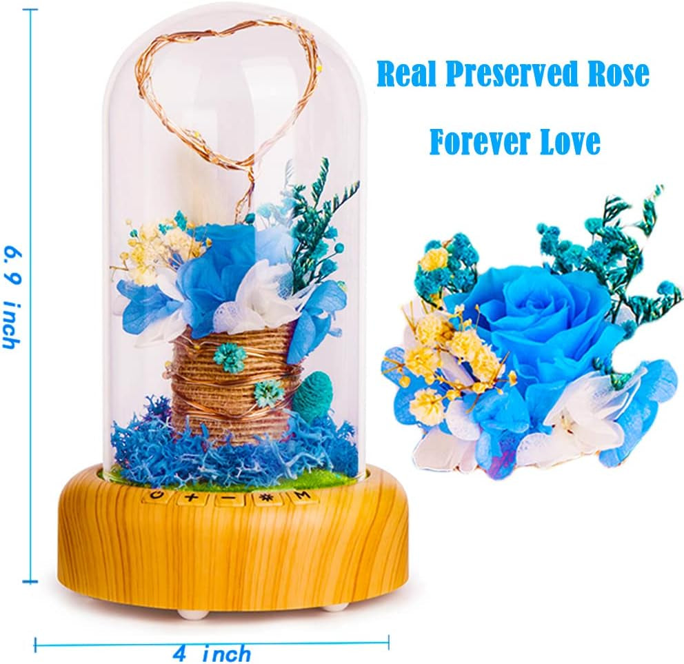 SWEETIME Blue Rose Lamp Real Preserved Rose in Glass Dome, Forever Flower Night Light with Bluetooth Speaker, Eternal Flowers Rose Musical Box Gift for Her on Mother'S Day, Birthday, Valentine Day.